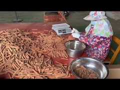 Natürliche Gewürze und Kräuter Zimt Stick Cassia Zimt