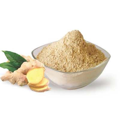 Entwässerte getrocknete organische Feuchtigkeit Ginger Root Powders 10%