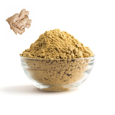 10% Feuchtigkeit organischer trockener Ginger Powder 80 - Masche 100