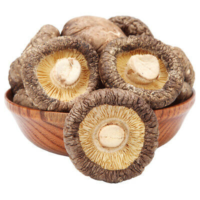 Hohe Nahrung getrocknete Shiitake-Pilze dunkelbraun für das Kochen