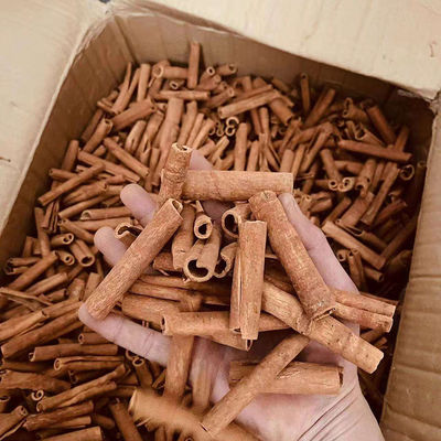 Premium-Ceylon-Zinnelsticks für Gewürze und Kräuter