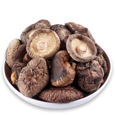 Flachgeformte, getrocknete braune Pilze mit hohem Eiweißgehalt