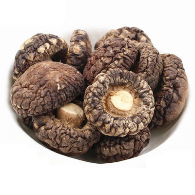 Braunes, dehydriertes, flaches Shiitake-Pilz mit starkem Pilzarom