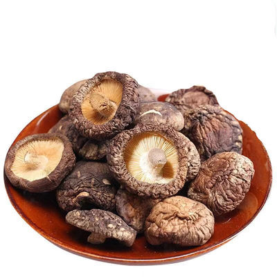 Premium-Flachgetrocknete Shiitake-Pilze reich an Eiweiß