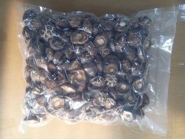 Gesunde getrocknete Feuchtigkeit des Shiitake-Pilz-11% keine fremden Gerüche