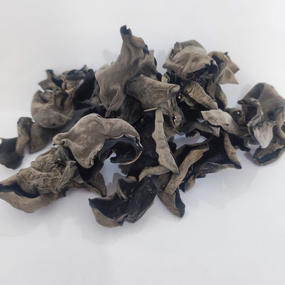 AD Trockener Schwarzer Pilz Trockener Pilz Pilz